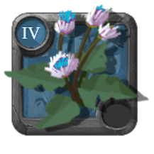 T4_BURDOCK