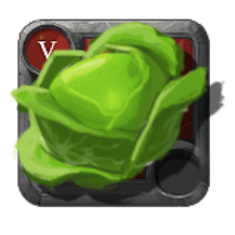 T5 CABBAGE