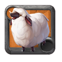 T6 FARM SHEEP GROWN