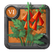 T6_FOXGLOVE